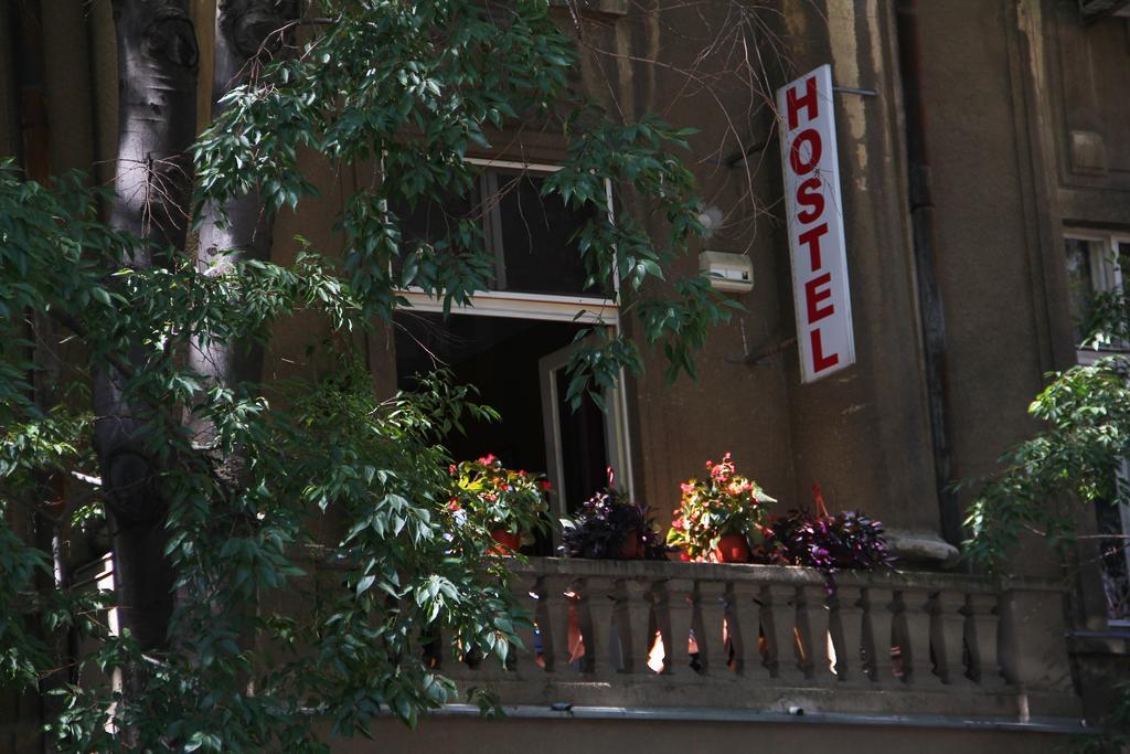 Hostel Sova Novi Sad Exterior photo